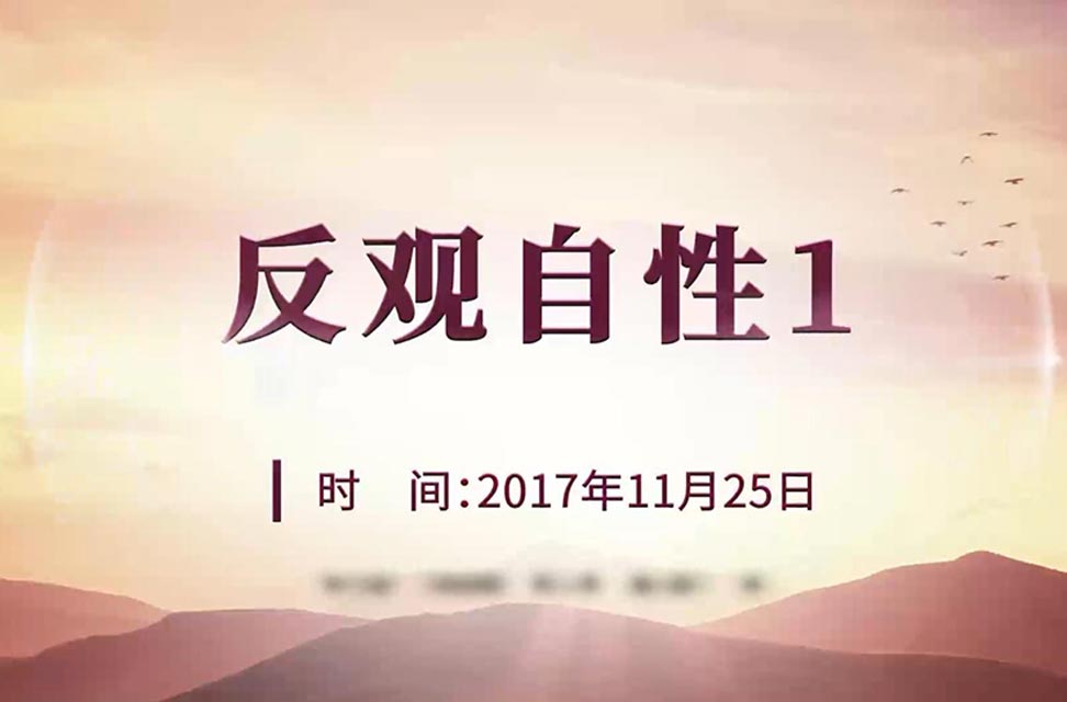 2017年11月25日—反观自性1