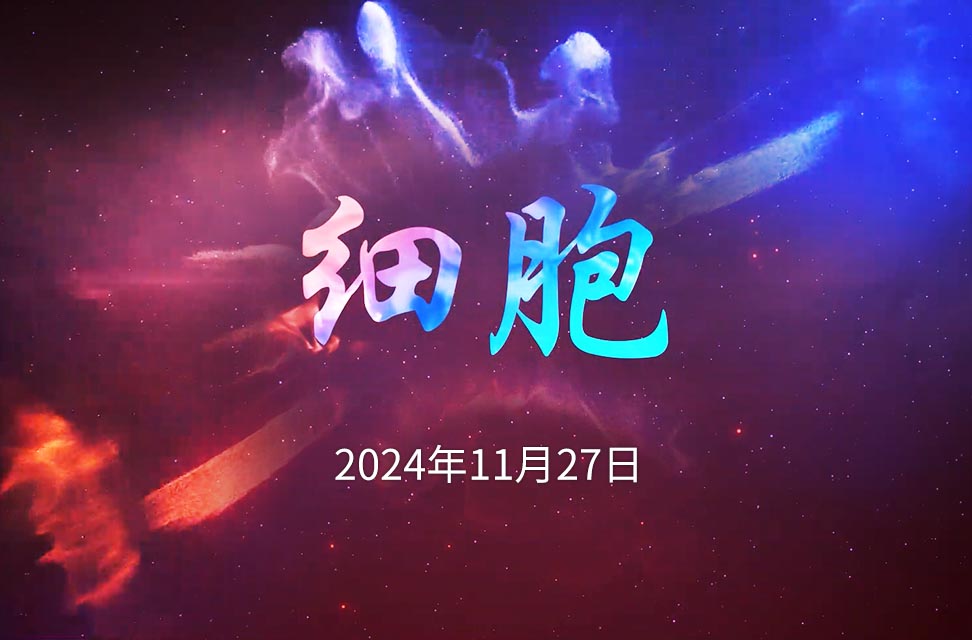 2024年11月27日—细胞