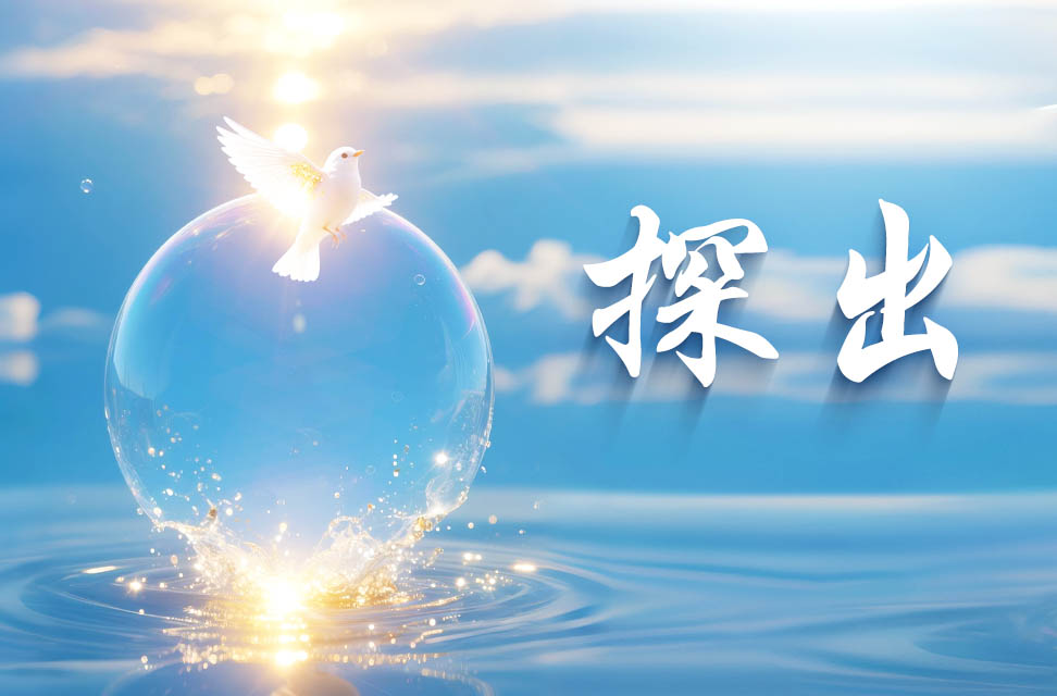 探出 2025-05-29